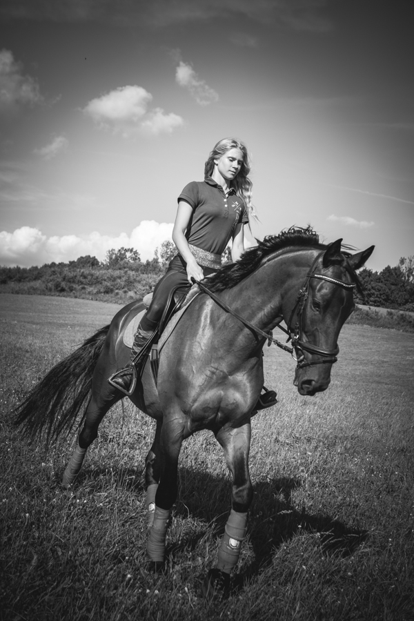 horse, kone, fotografka, top fotograf, najlepsi fotograf