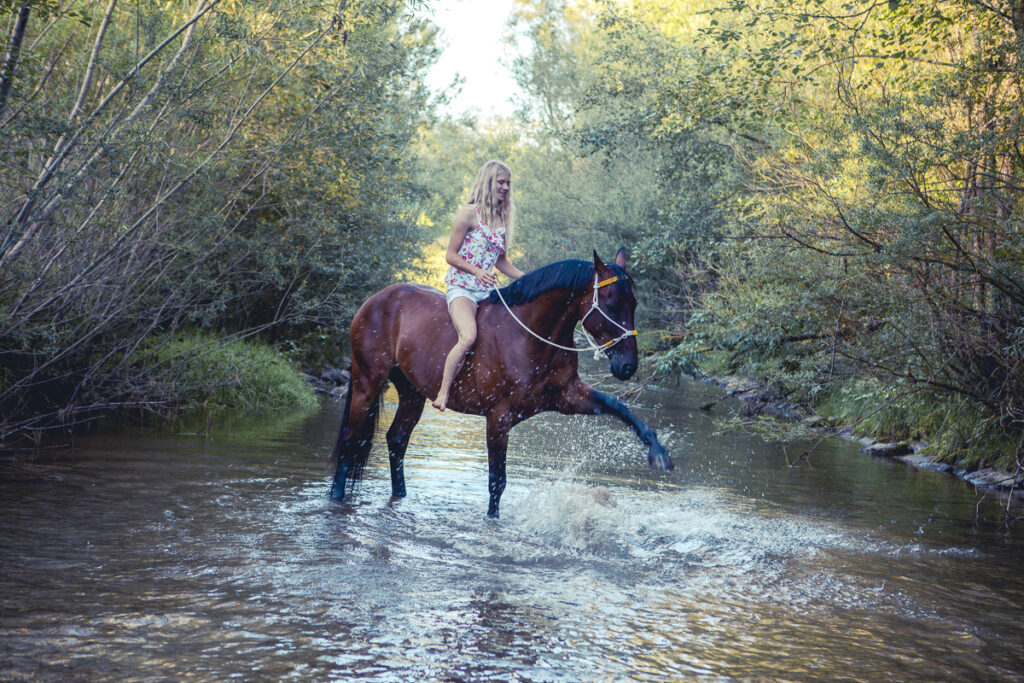 horse, kone, fotografka, top fotograf, najlepsi fotograf