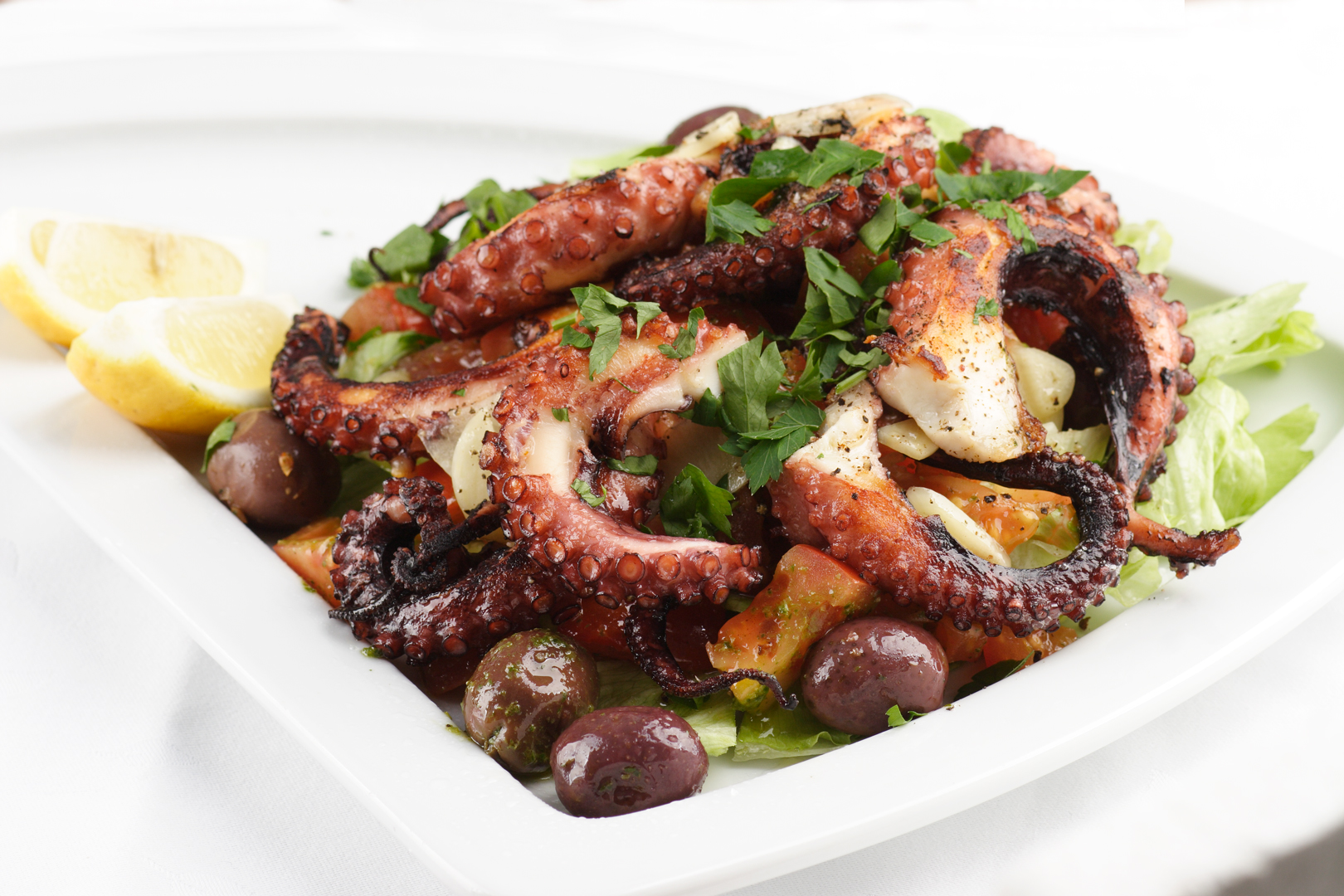foodphoto, octopus
