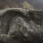Sandberg rock from prehistoric sea