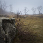 Sandberg in fog